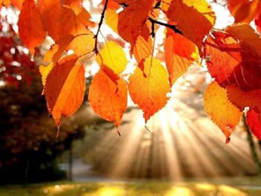 Think of the autumn season as a way to discover a new rhythm to your prayer life.